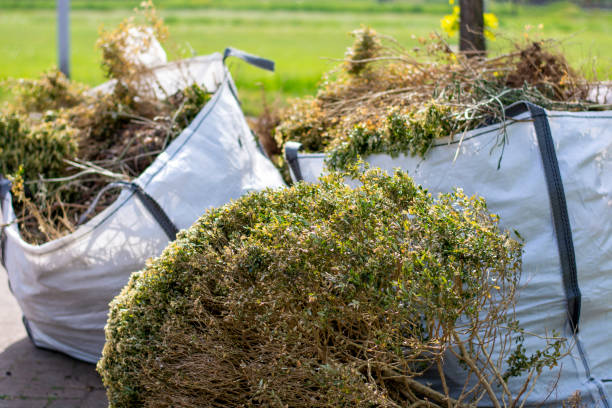 Best Junk Hauling Services  in Eldorado, TX